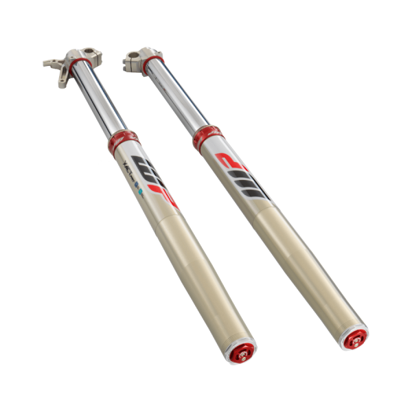 WP XACT PRO 7548 / XPLOR PRO 7548 (Cone Valve)